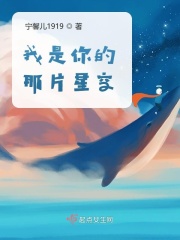 你是我的星空歌曲