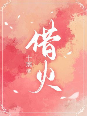 借火师娘免费阅读