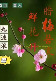 澳洲腊梅鲜花