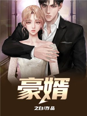 豪婿