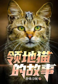 领地猫的故事主要内容