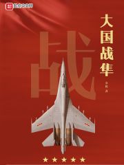 鹰掠九天同类型的空军小说