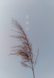 思绪怎么记