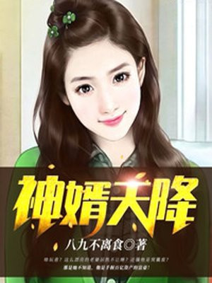 天降神婿最后