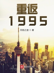 重返1995无防盗123