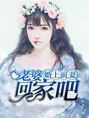 前妻回家吧小说