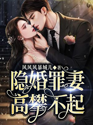 小说《隐婚》