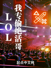 lol我专偷绝活哥TXT熬夜下载