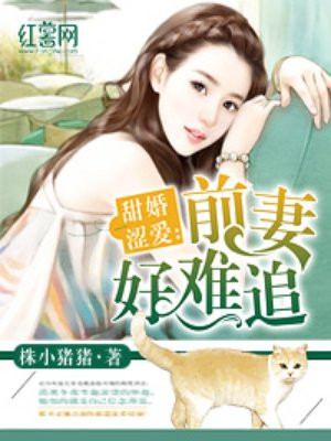 甜宠前妻离婚无效