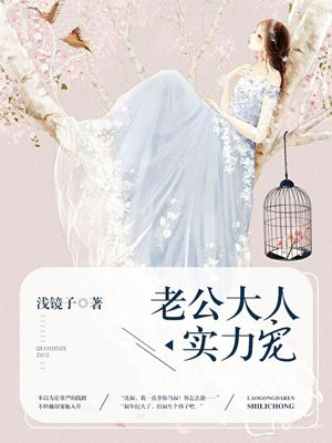 闪婚密宠老公大人