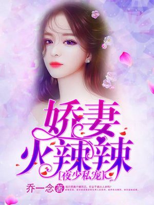 夜少宠妻有点儿甜