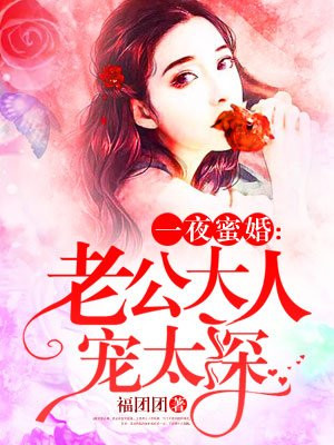 一夜蜜宠老公大人坏透了