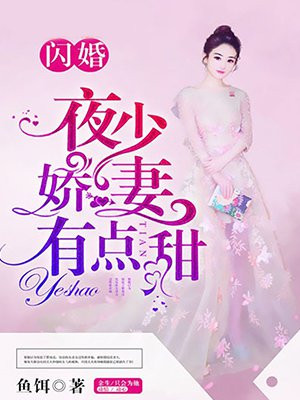 闪婚：夜少娇妻有点甜