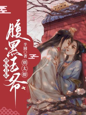 《神医丑女:腹黑傻王俏皮妃》作者:海棠宝宝