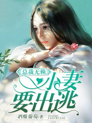 无赖总裁的前妻 小说