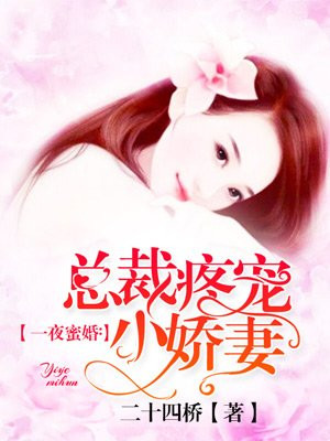 一夜甜蜜:总裁宠妻入骨