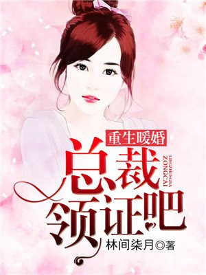 《重生暖婚:总裁轻轻宠》