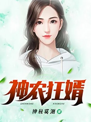 小说神农医婿