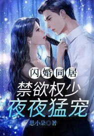 闪婚同居，禁欲权少夜夜猛宠