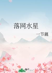 落网水星TXT