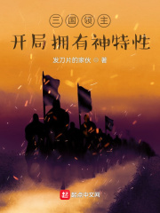 三国领主时代作者 小说