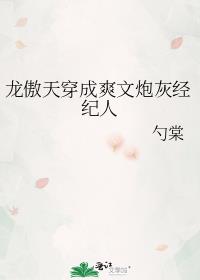 穿成龙傲天的杠精txt