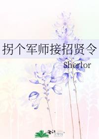 拐个军师接招贤令的小说