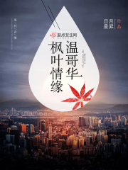 加拿大温哥华的枫叶风景图片