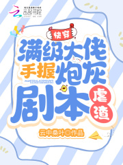 满级大佬的快穿文无cp