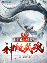 斗罗魂穿玉小刚觉醒神级武魂txt精校版