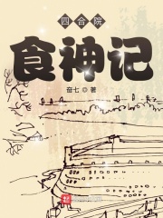 四合院厨师小说