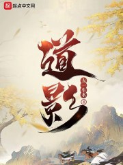 道影无防盗