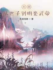 大明:从世子到明光武帝 小说