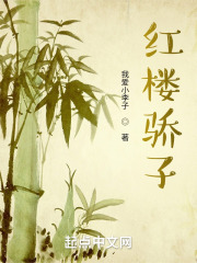 红楼茄鲞原文