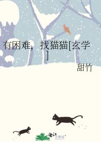 找猫猫(玄学)晋江文学城