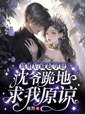 离婚后 沈总追妻火葬场