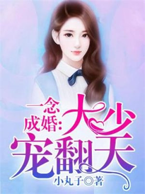 一念成婚爷宠妻无度陌