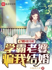 学霸老婆骗我结婚 小说