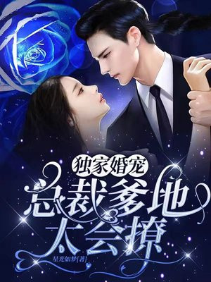 独家婚宠:总裁大人请节制