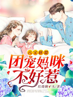 书名《六宝联盟:团宠妈咪不好惹》