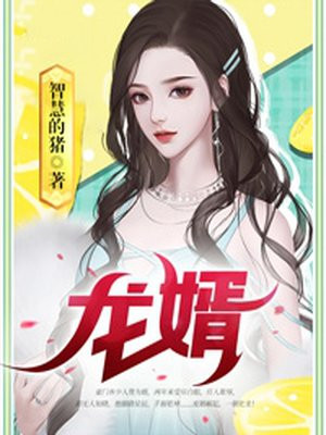 龙婿叶凡