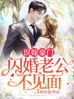 闪婚老公不见面全文阅读免费