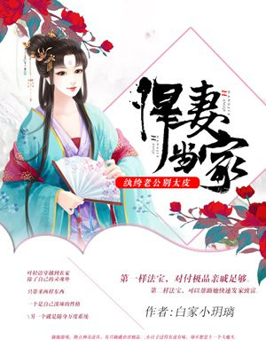 悍妻当家:相公是个宝