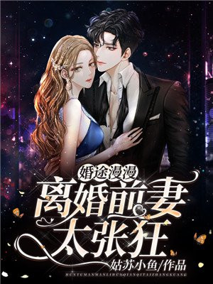 婚途陌路:前夫求放过