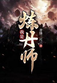 炼丹师小说